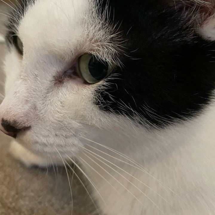 E47c9ba5 7f6e 483d 9c62 ea07db6f2eb9 1692826358072