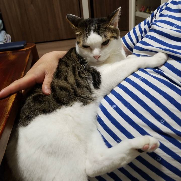 E47ca4e2 7f04 488a bc4d 3d9933796e33 1588674380289