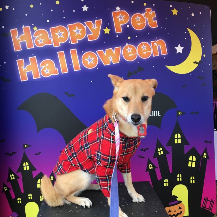 E47cb274 32a2 4ce5 b012 b60a1a721cd8 1540716572389