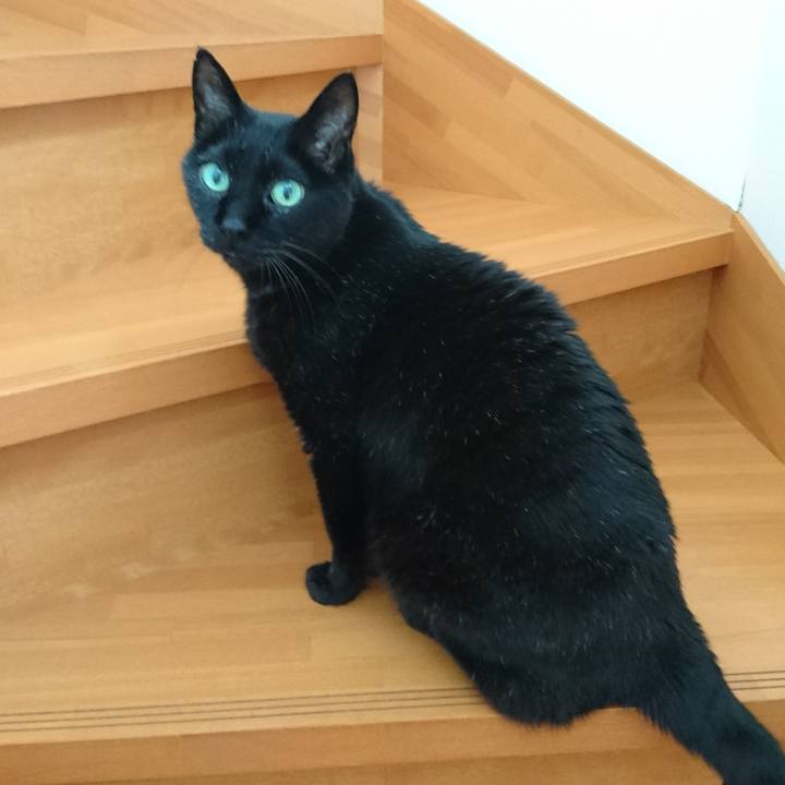 E47cb8d4 92af 469e 8a76 d29e10cb203f 1560242914062