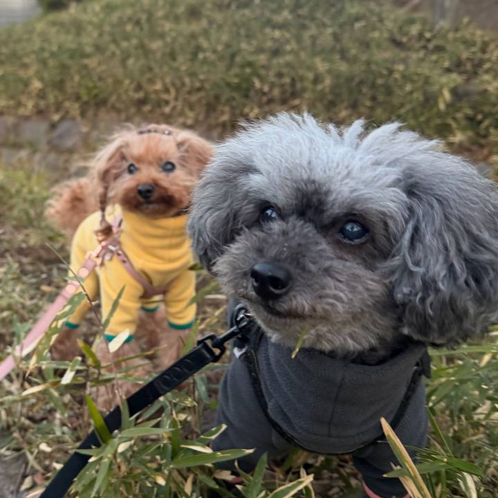 E47cd670 07a1 46c1 b059 ecb388739433 1771197635935