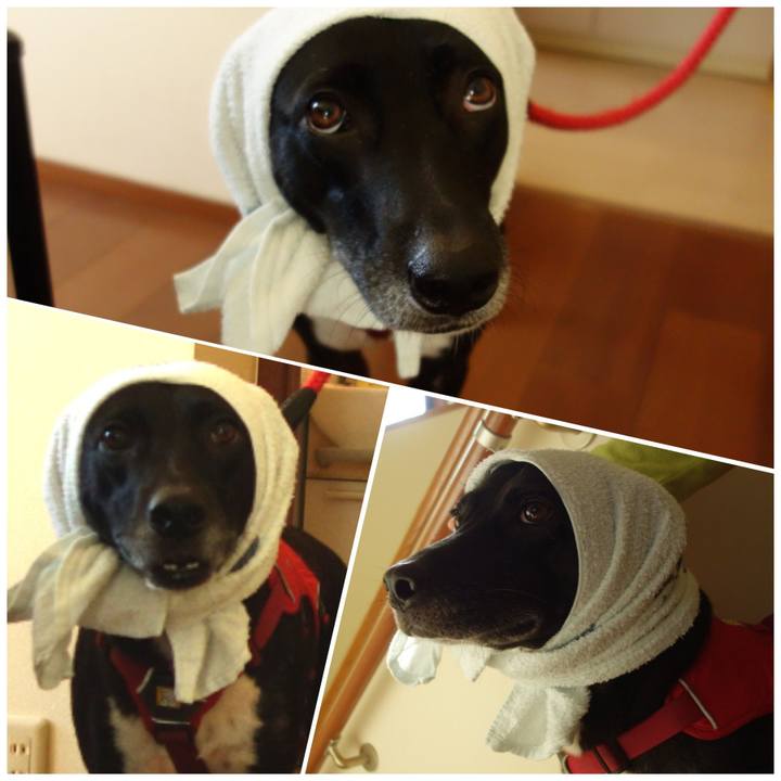 E47cec9d 1d0d 4a0b 9c82 b1462407178a 1640084200740