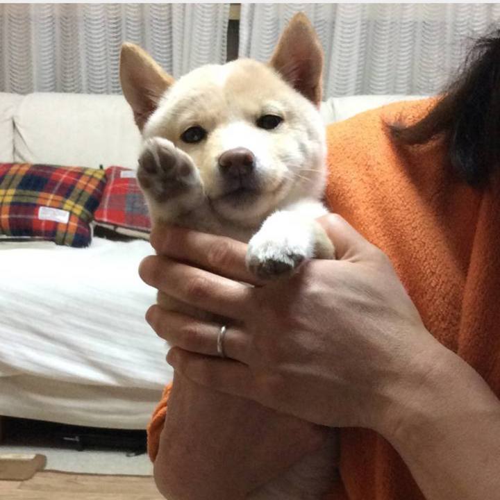 E47cf736 bc9f 4e2c 9678 8ade4ac783cb 1634274729744