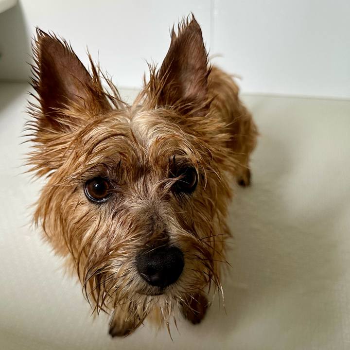 E47cf9a2 dc22 4560 b4a9 c559bc90e91f 1751092554706