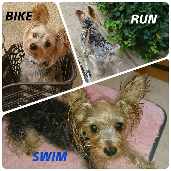 E47d0373 5aa0 4f4e 850b 0e2fa845959a 1535175325096