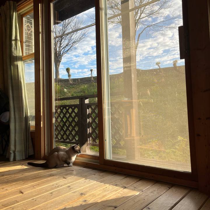 E47d0815 2a8b 4b83 9302 752730183b59 1731798397795