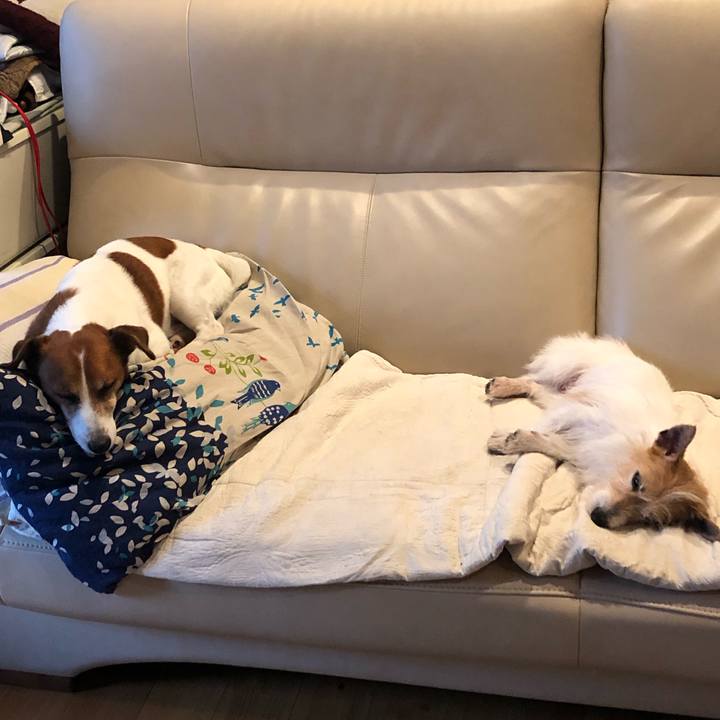 E47d26e9 ea1f 4e5b aefc 9e6811194d1d 1594645561490