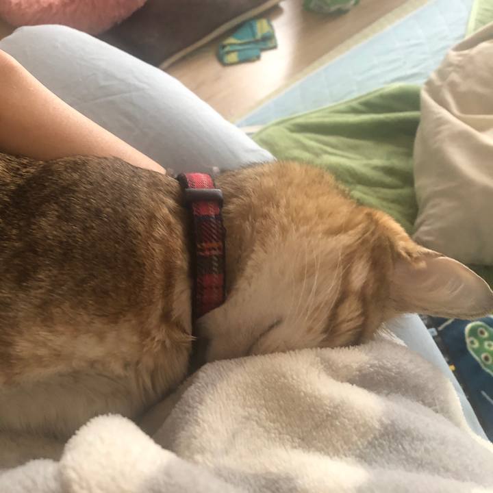 E47d6abf 89bb 4432 937e f99b1d503d52 1642849710314