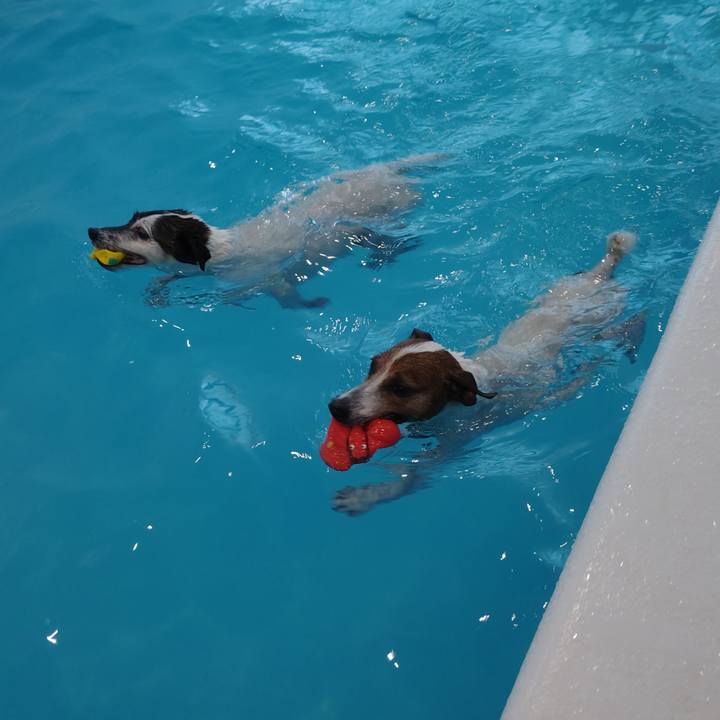 E47daa43 206c 4c31 a9a8 be0830f454de 1771842115125