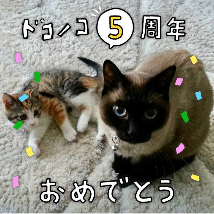 E47dcbae 937f 4c46 9679 22dc6cec5f5e 1622853427272