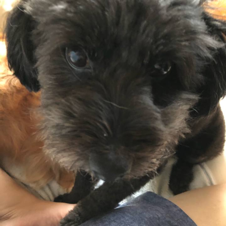 E47dd865 1048 45fb a8d9 45293c4ca6f9 1565732992275