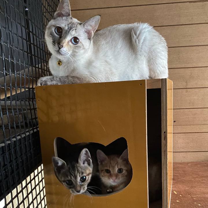 E47dea37 640f 48b0 9a7e a9daef3448d6 1656117659089