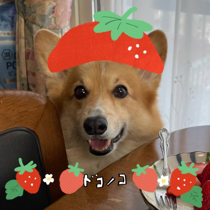 E47dfd9e 58dd 44ce 95e7 3c0b9b602afb 1775830600091