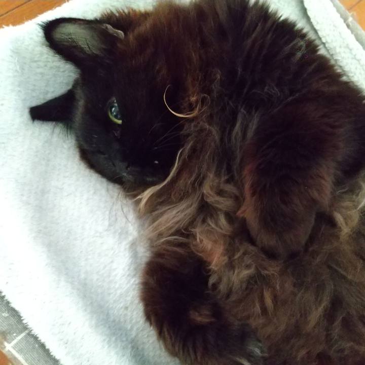 E47e20ba 50ea 4663 bae3 ccdd9a052771 1709870617085