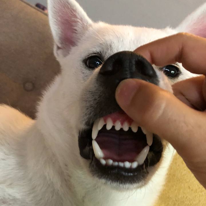 E47e5f07 9736 4a45 bba6 26a35da2d915 1540510797452