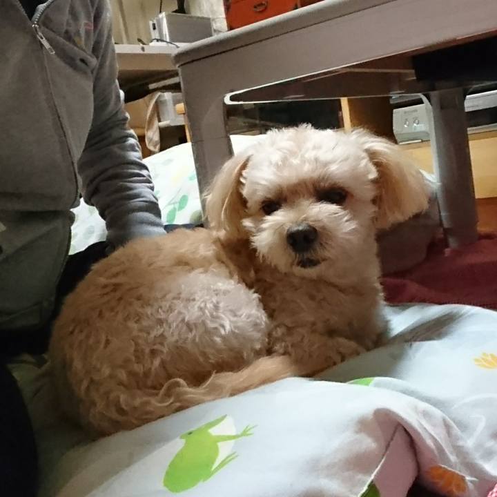 E47e6c7b f40d 4250 8086 7f523a67aa0e 1603590297474