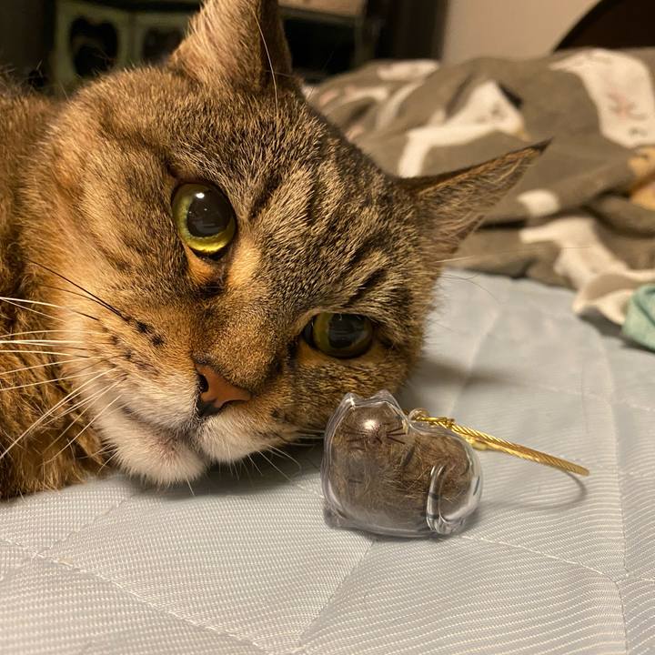 E47ea6e6 9562 48fc a8a8 8d5647a2455e 1752755684425