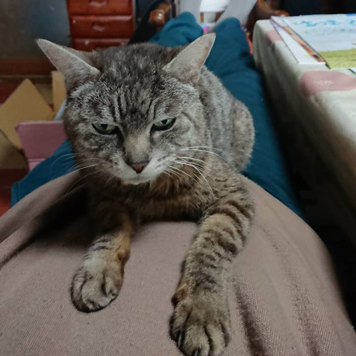 E47ed69e 0b6b 432b bb27 2a3d20cef5c4 1556419663376