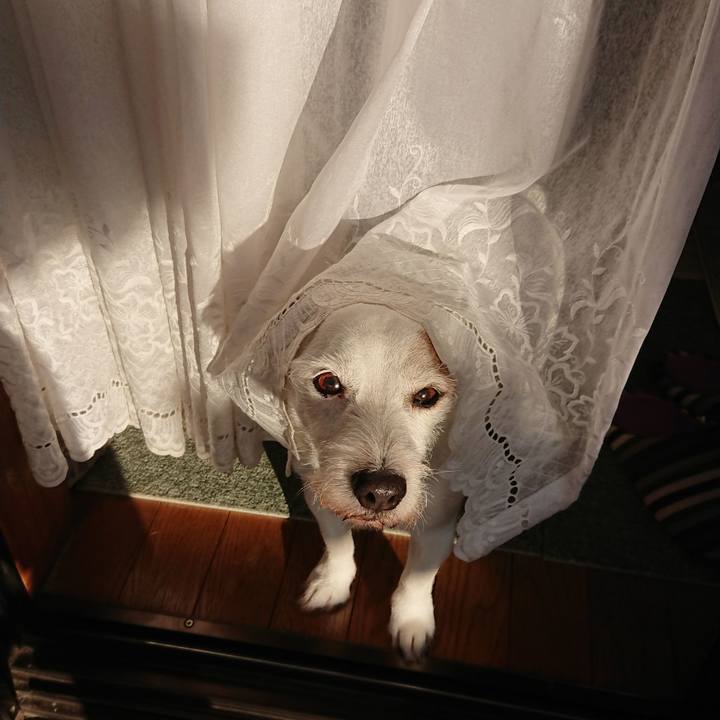 E47ee394 e746 4127 ad90 d31d0b3de641 1575416789080