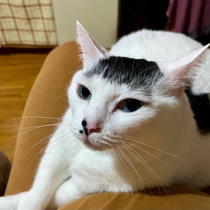 E47f062c fb5a 43b4 bb58 603607d97693 1760958959930