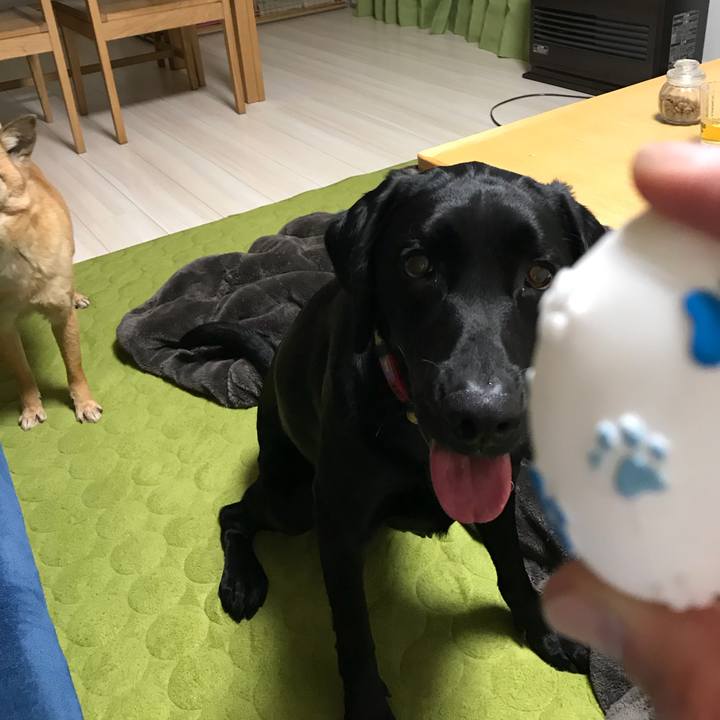 E47f741b 0c3f 4501 8633 68efe920ab62 1522372442215