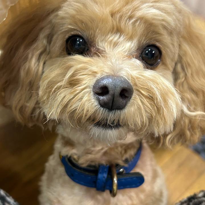 E47fd59b 4650 4d53 ac48 81bad7edd276 1714575727339