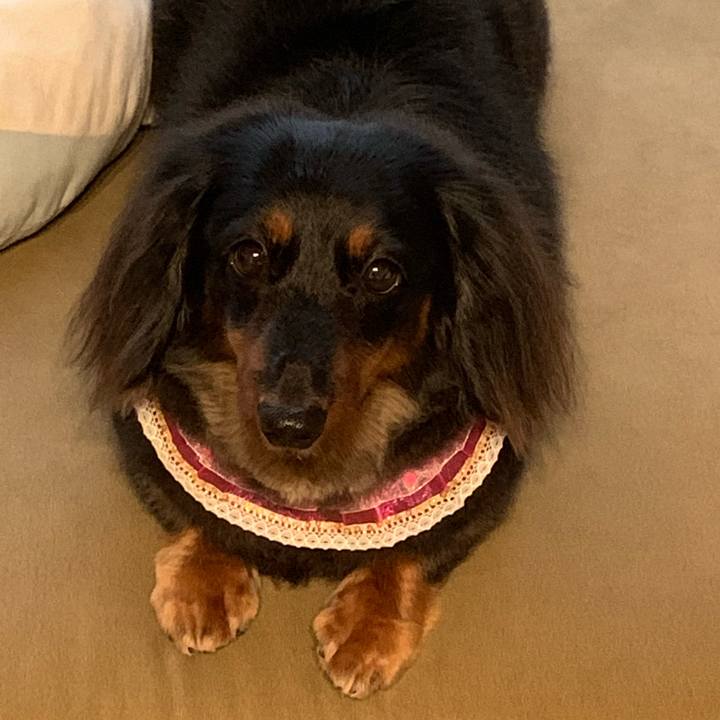 E48009f6 d047 414a b6cb 370ab6b4f97f 1661045036647