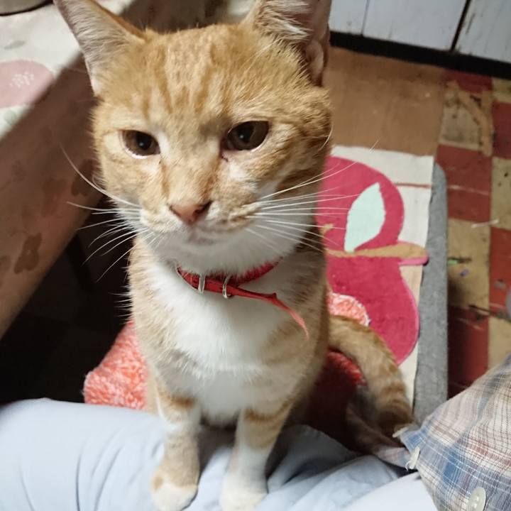 E4802068 2d80 4bc2 87d5 029a33301745 1569492122943