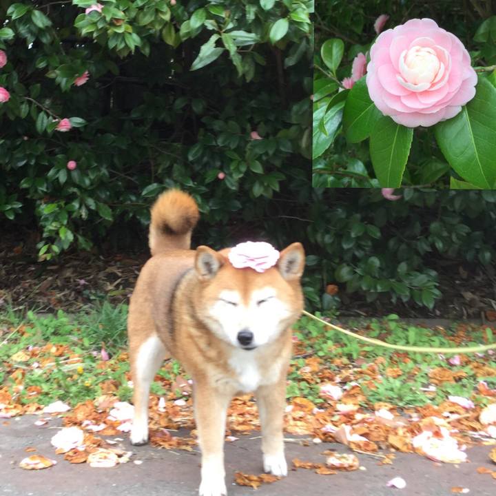 E4804f80 56e8 483d 9ada 152e7d868ddd 1616387969735