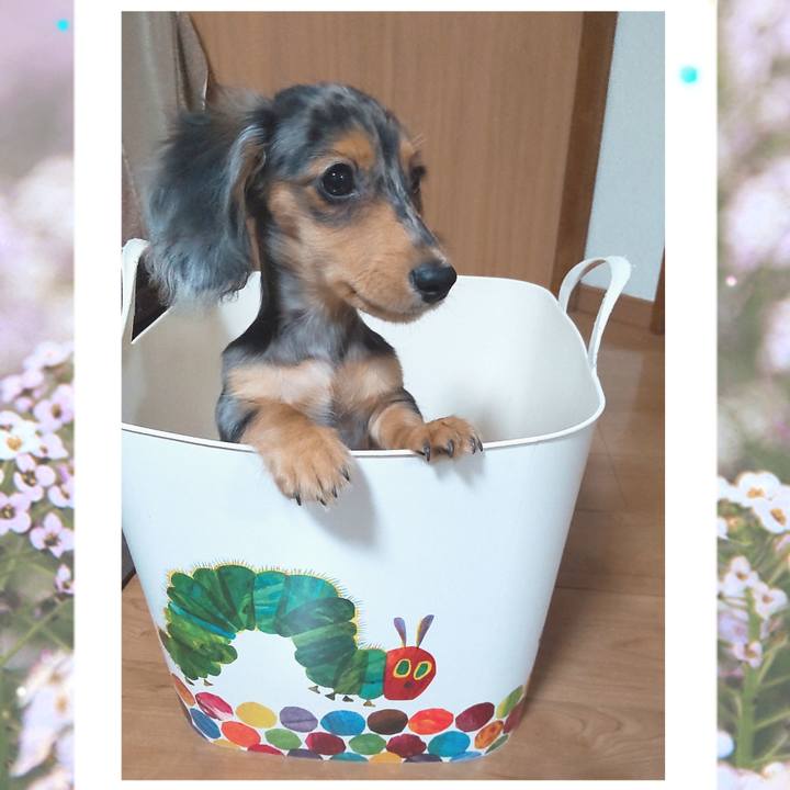 E4805011 568a 4158 8d21 785554295c86 1697942297822