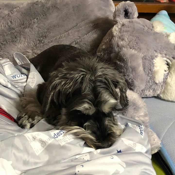 E480695a 901e 4d10 a3d8 c04e8b37a1cf 1653399072002