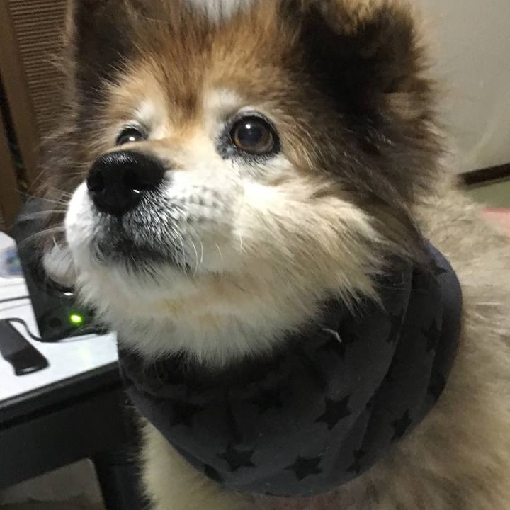 E4809071 0304 4022 a96c 95587ff8f1d0 1609918327762