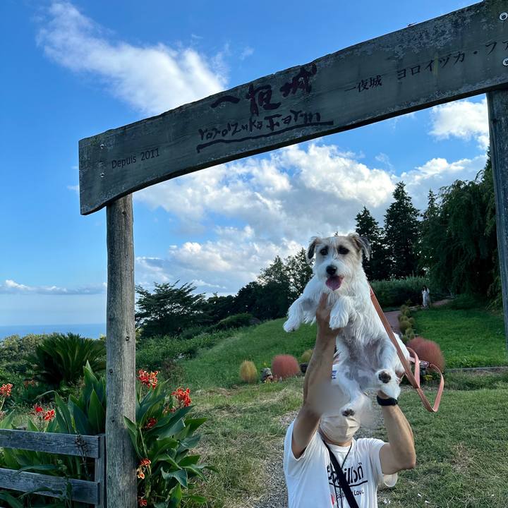 E4809a6b 0342 4d4c 9ac8 7a6b07ac3a26 1696075564746