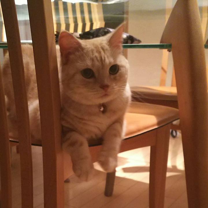 E480d324 9bfe 4f84 bcbe 92281ac4bf65 1533121503995