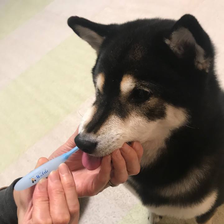 E480e698 c6b6 4812 a8f9 c296a013654c 1608472463826