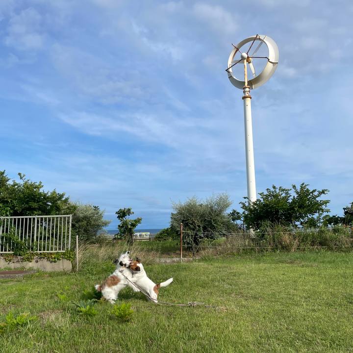 E48188a4 f0b8 49d4 8394 6be1175605a4 1659743896004