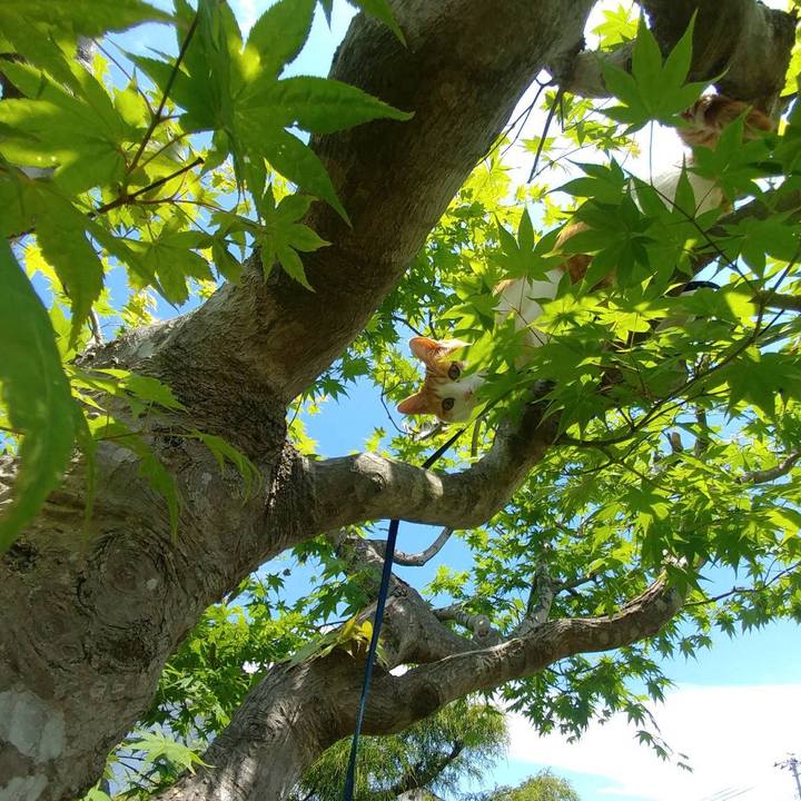 E481b975 daa1 45a3 bb17 27c527bee37c 1527395258908