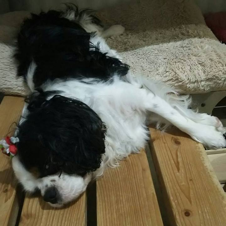 E4820ec5 5d21 455f b932 a574f332bc6c 1537116133386