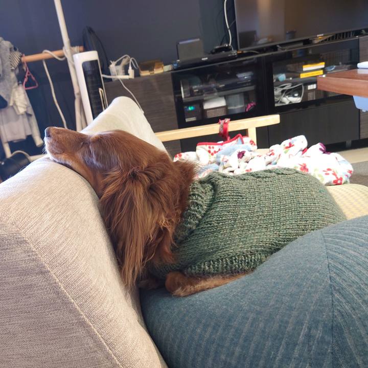 E4820fa1 28b1 4fa4 b519 96b160ab15c4 1608881148951