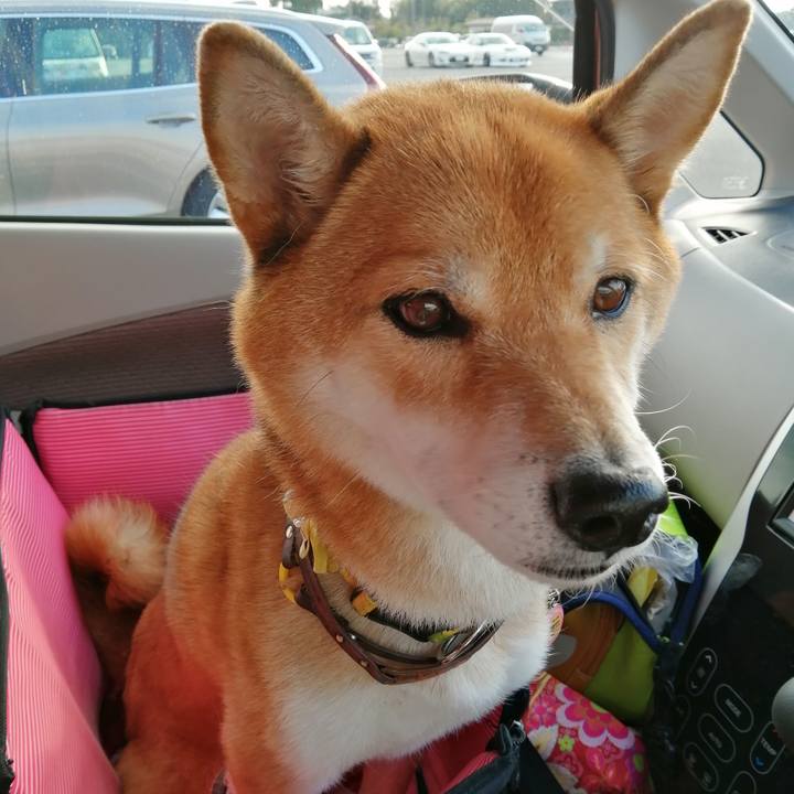 E4822480 35d5 4bf9 af53 ab91d125b617 1601548853492