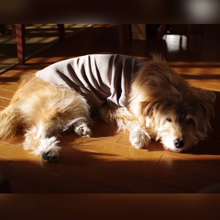 E4825565 85d1 45f2 80e7 f9359d03c3ca 1646092241686