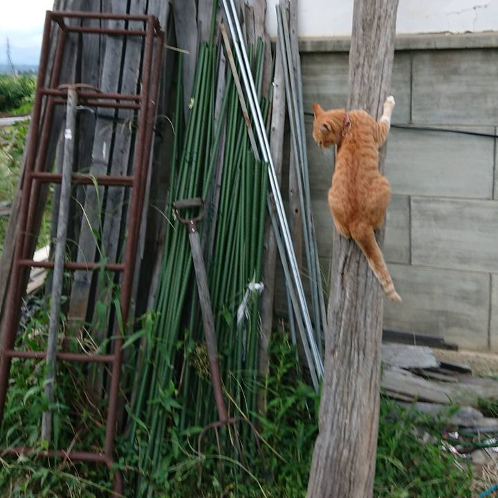 E482738f 1dd2 4865 abd6 51a0221205ff 1567328743208