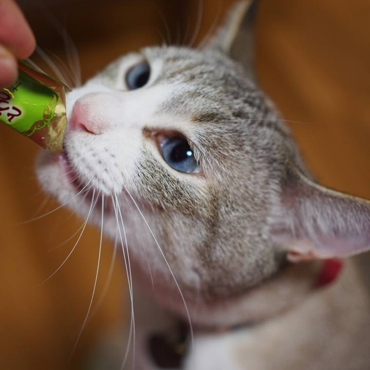 E482a2f9 5509 4dd3 992d e2cfed32f2a5 1594735792717