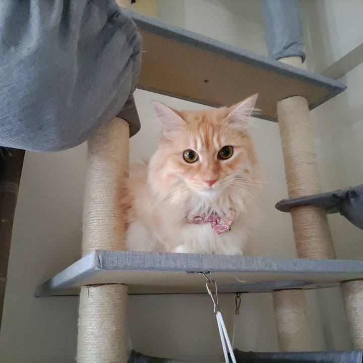 E482b01c 3924 4db1 8335 58309261abef 1689994210479