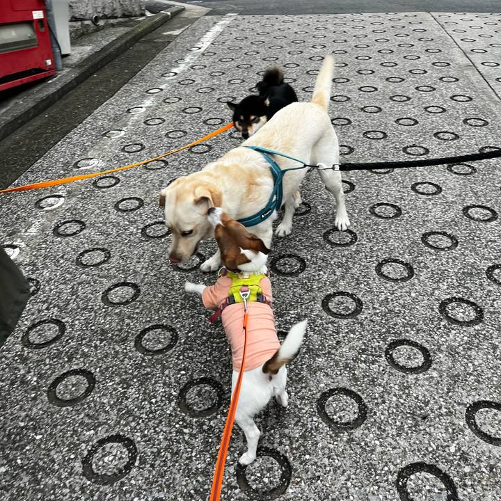 E482baa9 c0db 4842 a92f 106d3da8b209 1728346359980