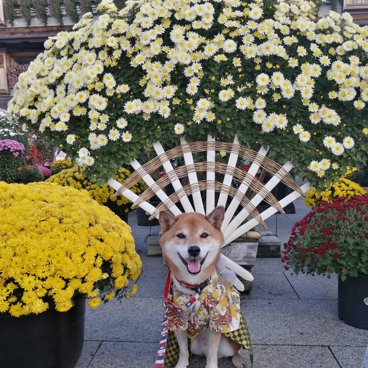 E482d249 f51e 401c 8079 a34df607c025 1667964132184