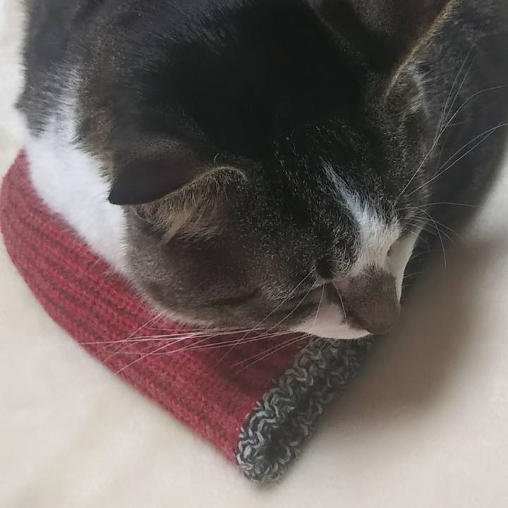 E482e69e dab8 4933 ad4f f3748ee33b35 1609251603445