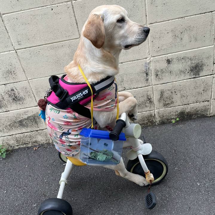 E482fa1b bc2d 4f5d ad0f 236e2481e4ff 1622621507962