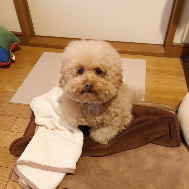 E482fa5c da01 47b5 952c 5ecdc3f65ae9 1514436286106