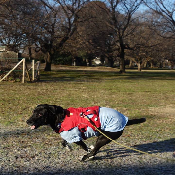 E483c18d 3d36 4b21 bc54 8f5131188f30 1672276282677